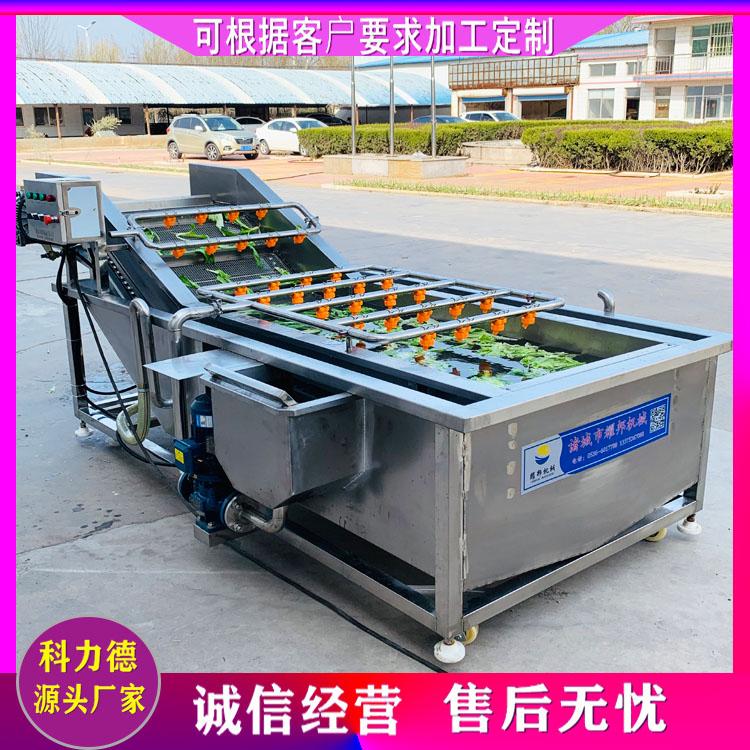 丹参中药材气泡清洗机 雪菜气泡喷淋清洗机 西洋参白芍清洗机 中草药去泥去杂清洗设备