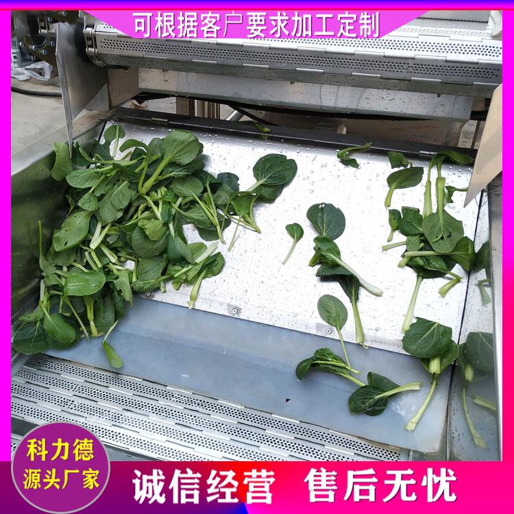 净菜加工洗菜设备 净菜全套生产线 橄榄菜气泡冲浪洗菜净菜机 酸菜脱盐清洗线