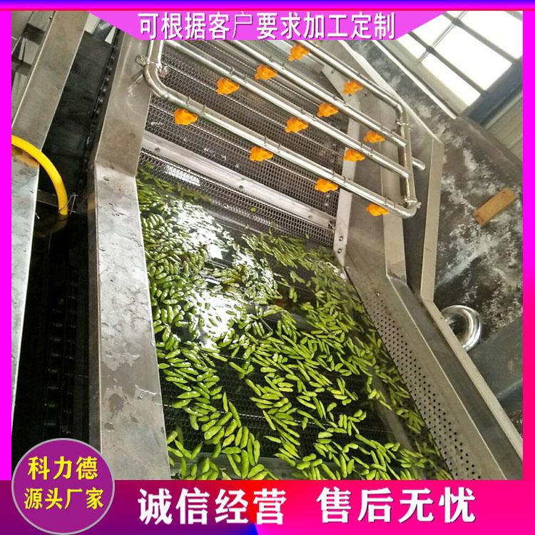 大型果蔬食品去农残涡流清洗机 脱盐去杂清洗机 橄榄菜气泡冲浪洗菜净菜机 洗菜机器