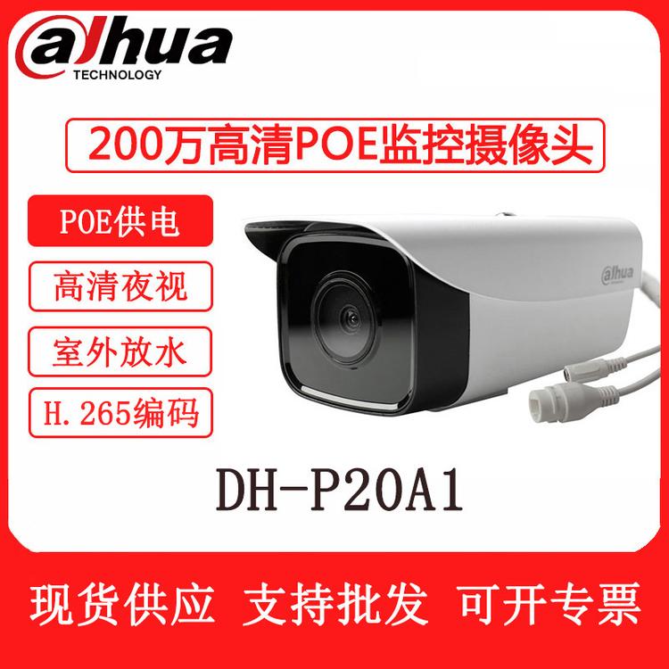 大华 DH-P20A1 200万高清网络监控摄像头 POE供电