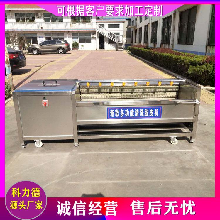 厂家生产平行毛辊清洗机 山药土豆去皮清洗机 节能省水 莲藕毛辊清洗机 去泥沙毛刷清洗机