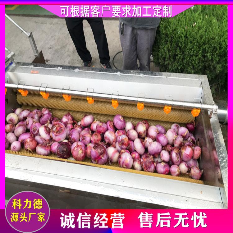 定做海虹扇贝海产品清洗机 洋葱毛辊清洗机 全自动不锈钢海螺去泥清洗机 芋头去泥清洗设备