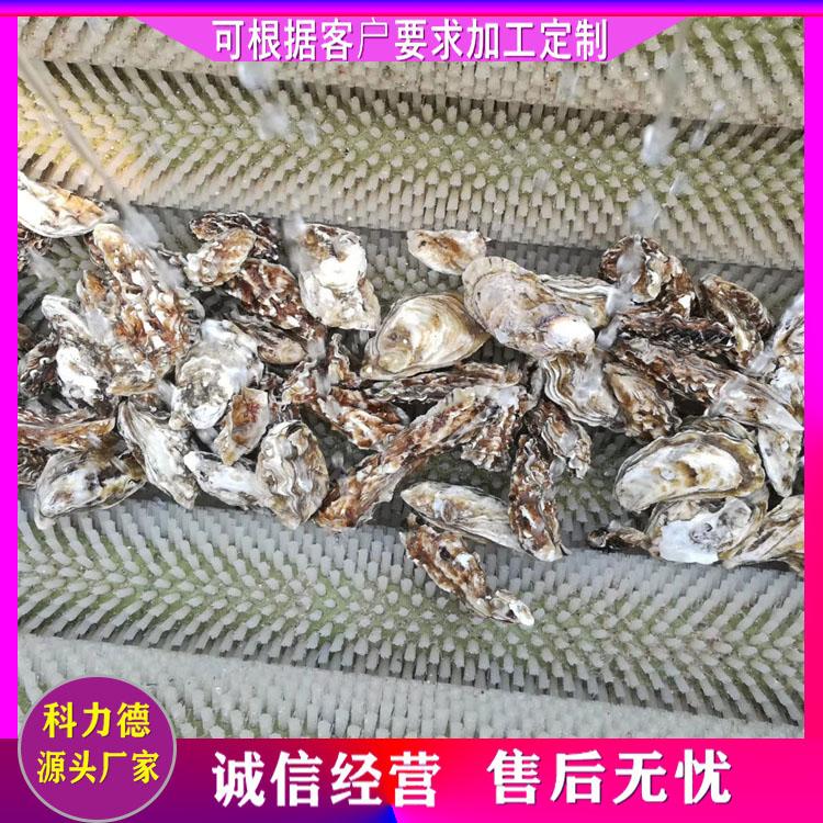 海蜇清洗机 多功能贝类清洗机 扇贝海蛎子贝壳去泥清洗机 海虹花蛤鱼肚去杂毛辊清洗设备