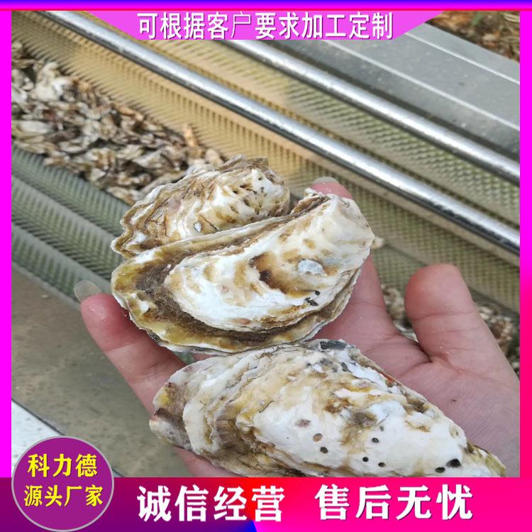 蛤喇毛辊清洗机 海蛎子毛刷去杂机 胡萝卜毛辊清洗机 多功能贝类清洗机 洋葱去皮清洗机