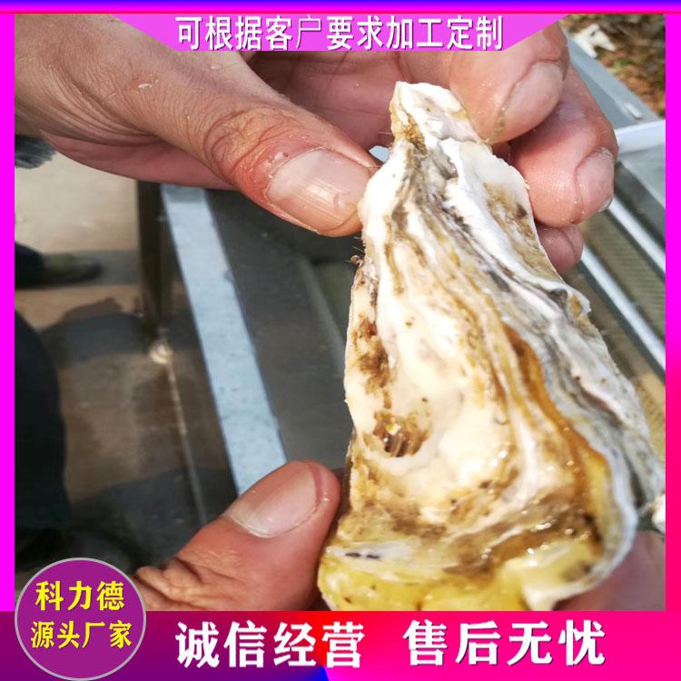 蔬菜脱皮清洗机 紫薯芋头清洗机 多功能去皮清洗机 厂家直销芥菜去皮清洗机