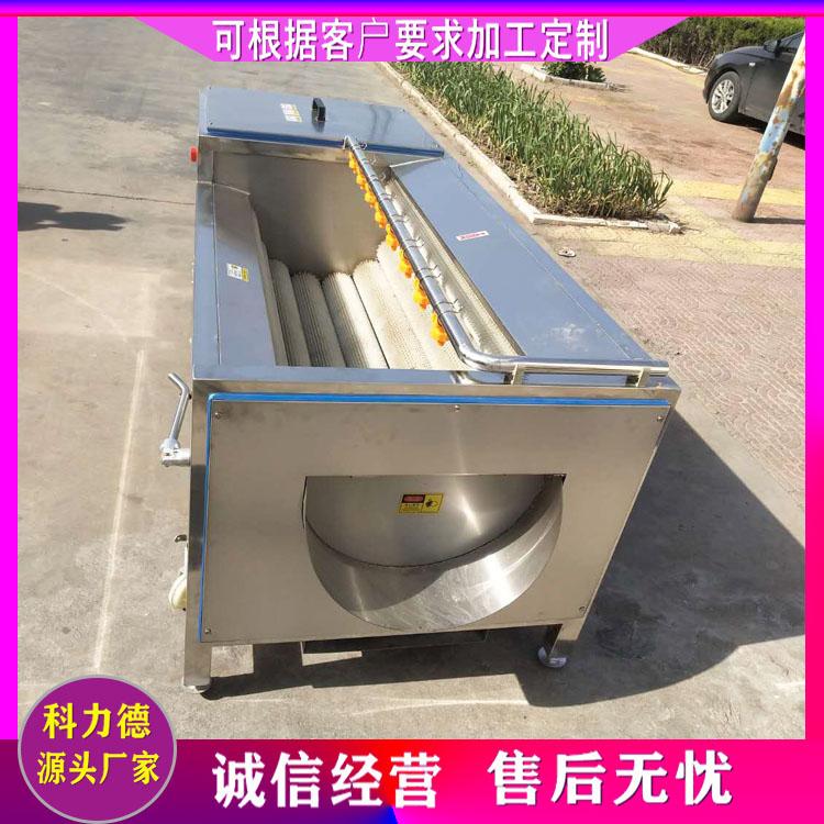 中草药毛辊清洗机 大姜毛辊清洗机 专业洗姜机 土豆U型毛辊清洗机 根茎类毛辊清洗机
