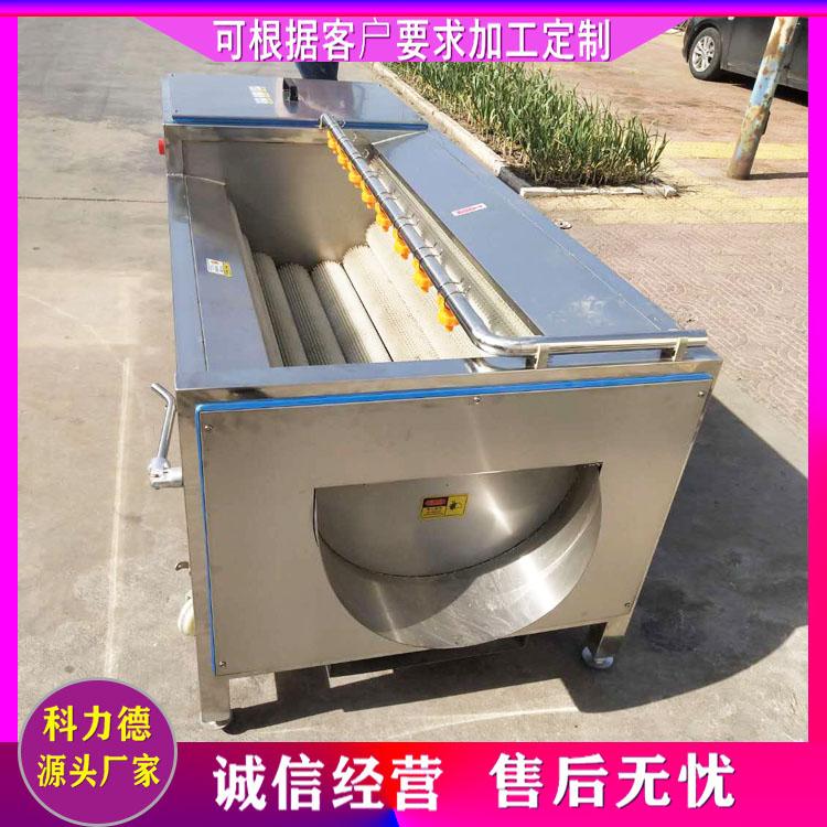 鱼鳞毛辊清洗机 批发海鲜水产品清洗机 小型毛辊清洗机 生蚝海蛎子毛刷清洗机生产厂家