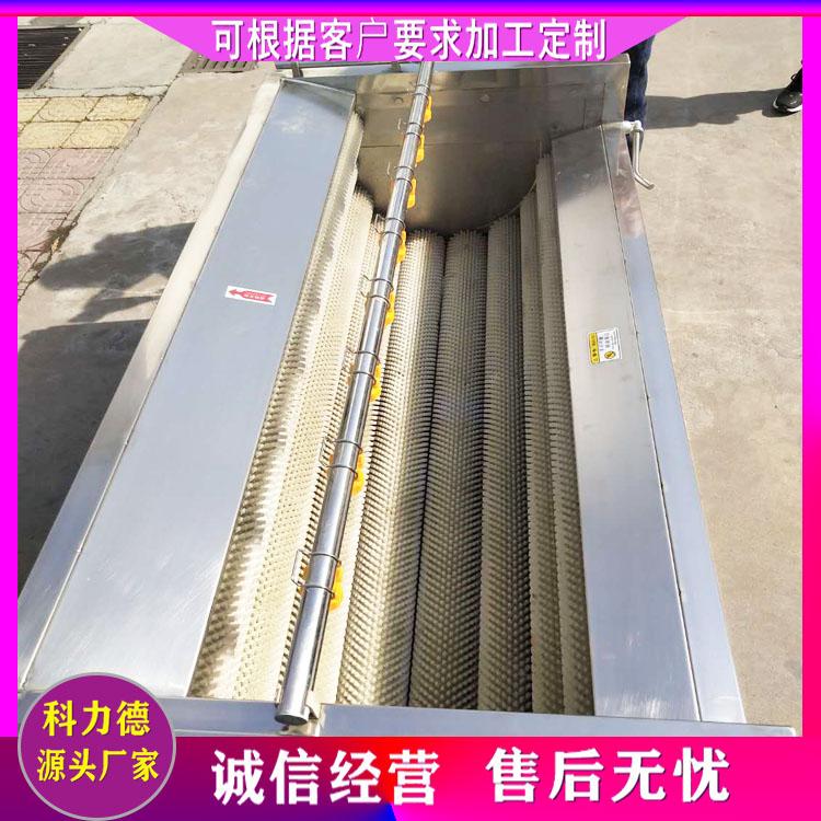 洋葱大枣莲藕毛辊清洗机 毛刷清洗机 板栗魔芋毛辊清洗机 生蚝平行式毛辊清洗机