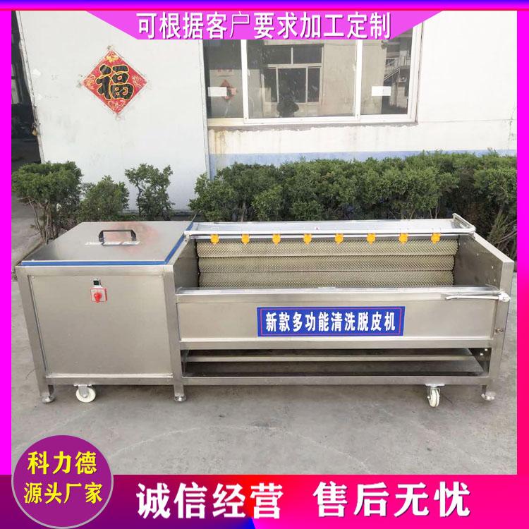 海蛎子扇贝毛辊清洗机 毛辊清洗去皮机 地瓜土豆山药去皮机 海鲜平行式毛辊清洗机
