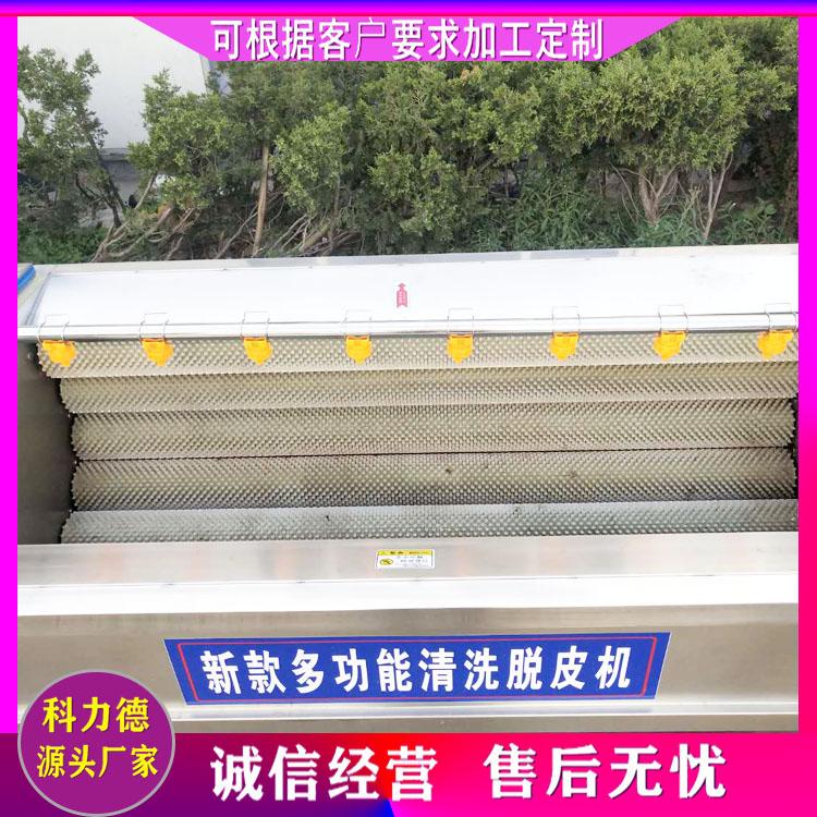 莲藕去泥沙清洗机 毛刷清洗机 海鲜牡蛎去杂毛辊清洗机 贝壳海螺毛刷毛辊清洗机