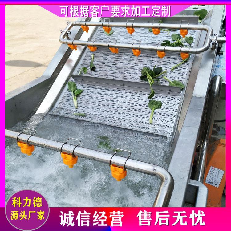 多功能气泡式山楂清洗机 芦荟清洗机可根据产量定制尺寸 翻浪清洗流水线