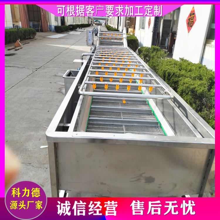 鱼腥草龙须菜循环涡流清洗机 全自动气泡山楂清洗机 蔬菜气泡清洗机 连续式芦荟清洗机