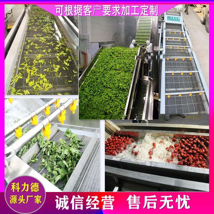新鲜大枣气泡清洗机 定制宁夏枸杞气泡清洗机 干大枣清洗机 裙带菜蔬菜清洗机器厂家直销