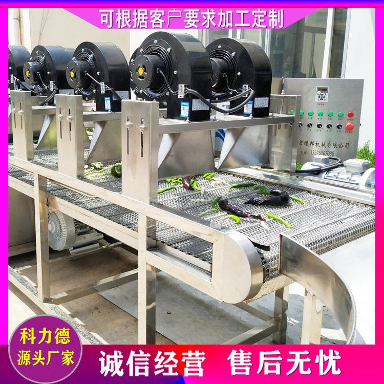热销蓝莓清洗机 山楂气泡清洗机 胡萝卜净菜流水线 果蔬成套加工设备厂家直销
