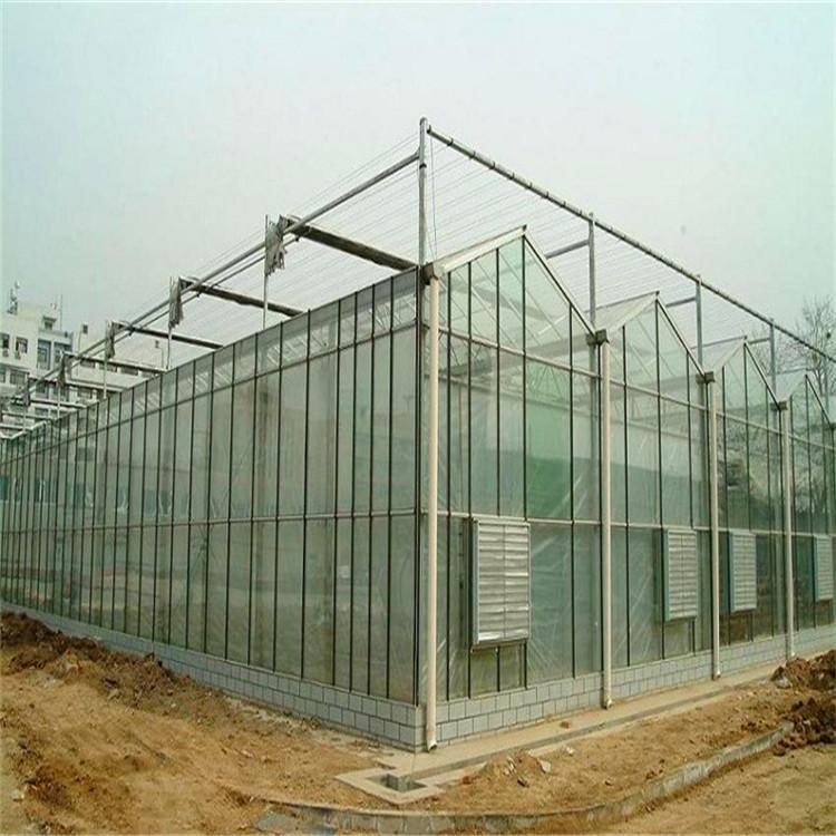 阳光板温室大棚工程 阳光板温室大棚建设