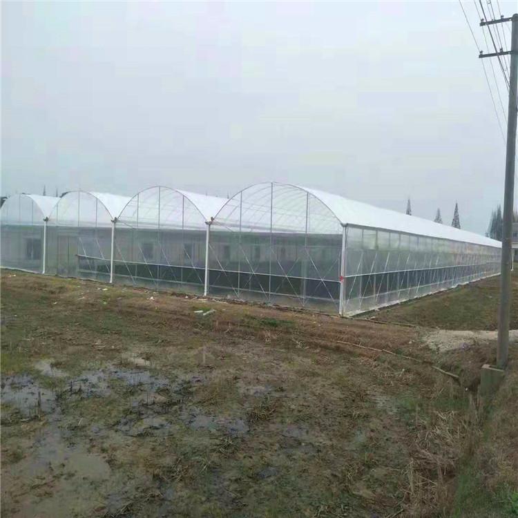 连栋薄膜温室大棚骨架 温室大棚