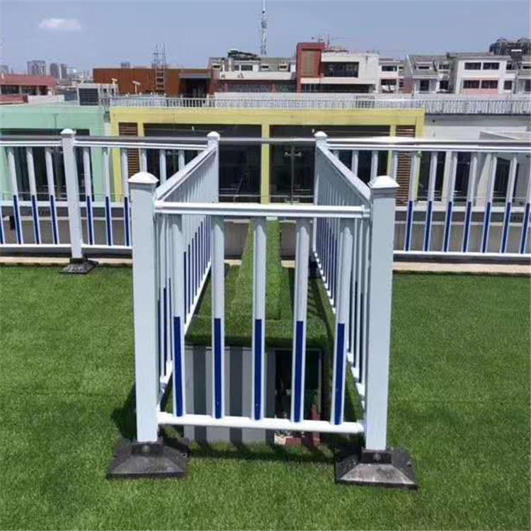 道路护栏 那特市政道路护栏 城市安全围栏