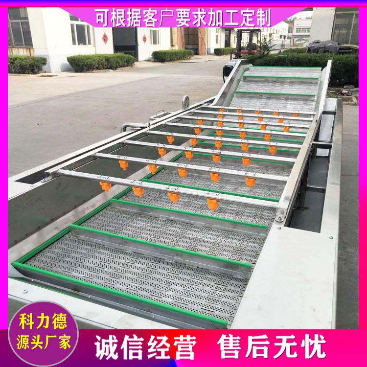 供应西兰花菜花气泡清洗机 酸菜酱菜脱盐清洗流水线 高压喷淋果蔬清洗线 海带丝脱盐机
