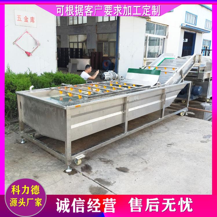 厂家定制多功能小型洗菜机 腌渍菜清洗脱盐机 酱菜清洗脱盐流水线 果蔬清洗加工设备