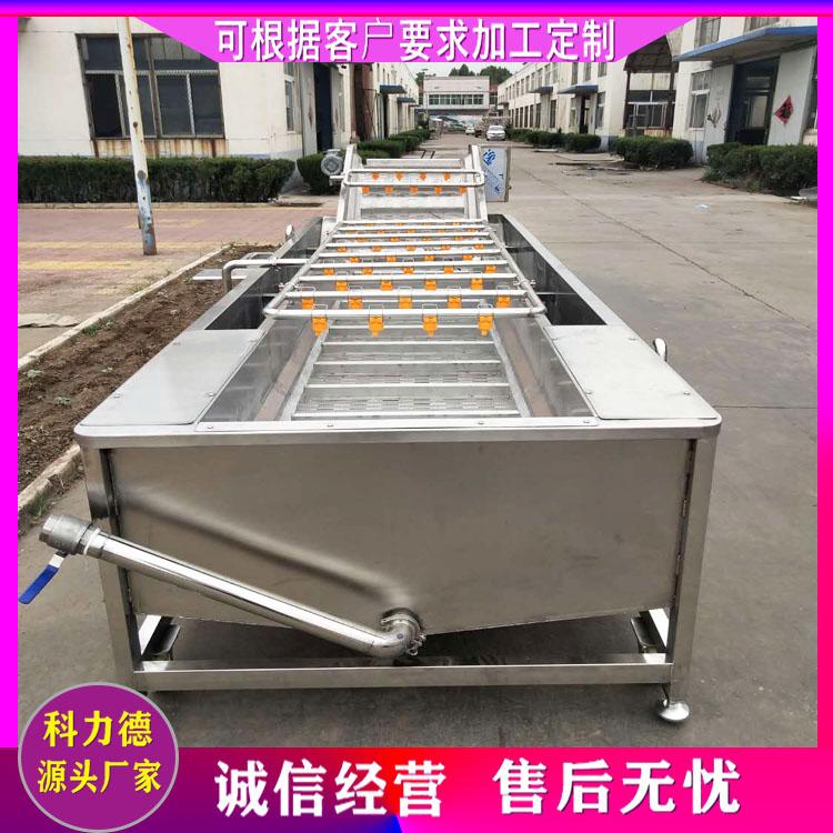 厂家热销果蔬气泡清洗设备 大姜清洗流水线 鲜笋气泡清洗机 果蔬净菜加工生产线