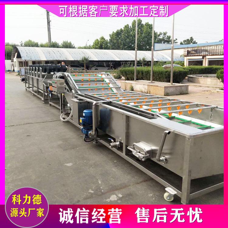 榨菜脱盐清洗机 蔬菜清洗风干线 胡萝卜清洗机 净菜加工流水线厂家