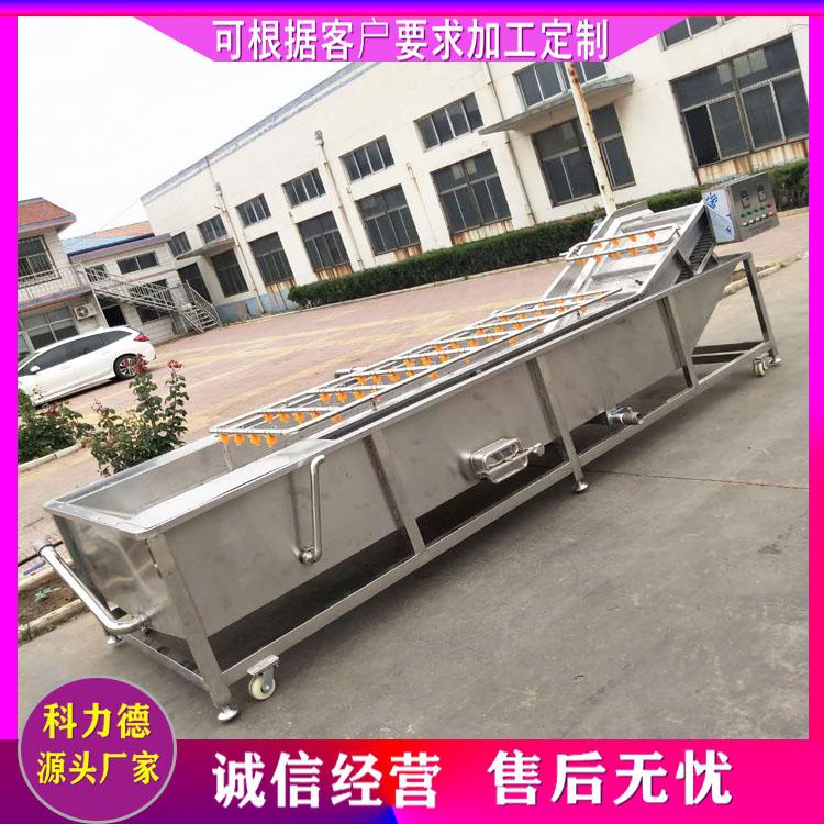 果蔬气泡清洗机 多功能叶菜清洗机 苹果大枣清洗机 空心菜气泡翻浪式清洗设备
