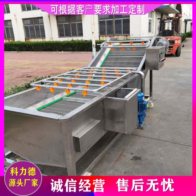 定制不锈钢气泡蔬菜清洗机 多功能果蔬清洗机 辣椒高压喷淋清洗设备
