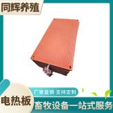 不锈钢电热板 猪用电热板 养殖保暖设备小猪加热 产床保温箱包邮