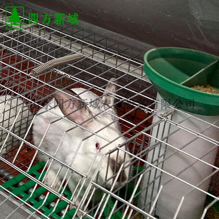 厂家供应宠物兔笼 加粗兔笼 免清粪兔笼 欧式兔笼