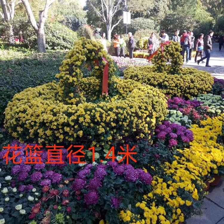 菊花造型 价格合理 青州菊花造型报价