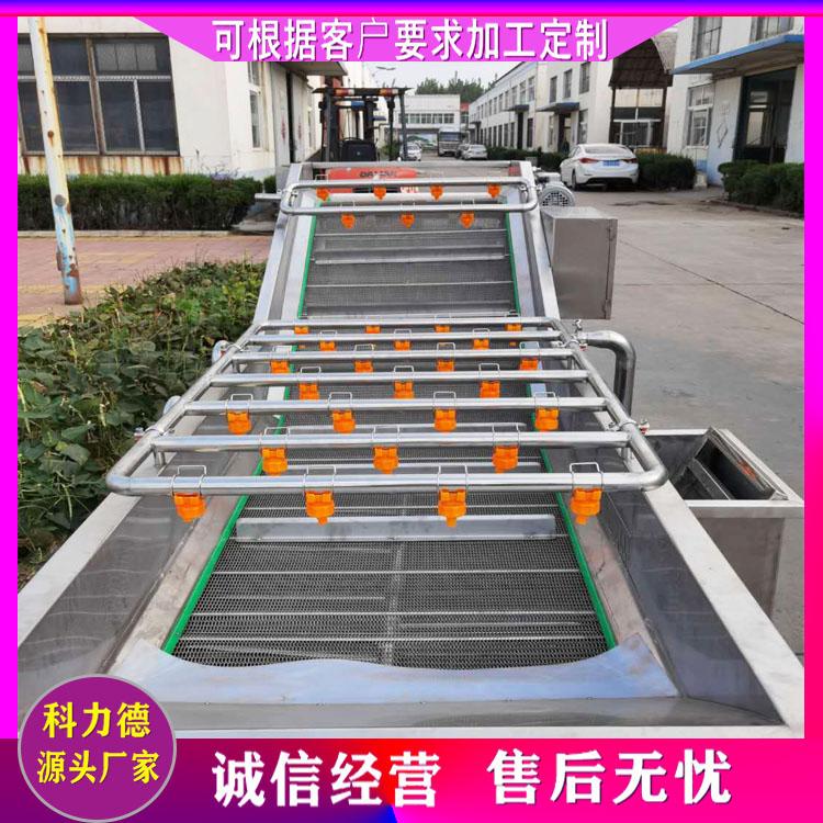 粽叶气泡冲浪喷淋清洗机 百香果清洗机 喷淋式净菜加工清洗设备 果蔬加工清洗流水线厂家直销