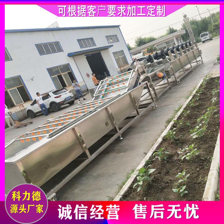 鲜花椒清洗风干流水线 全自动蔬菜杀青设备 整套花椒清洗漂烫生产线