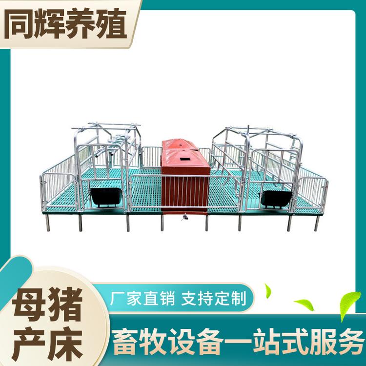 母猪产床组合 母猪产床价格 母猪产床组装 批发价