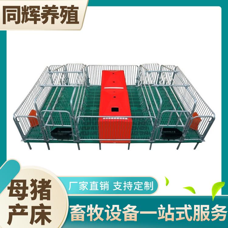 同辉养殖公司 母猪产床价格 母猪产床组装 支持定制