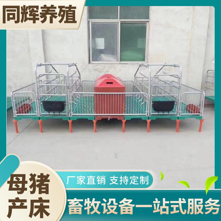 母猪产床图片 母猪产床说明 母猪产床安装步骤 厂家直供