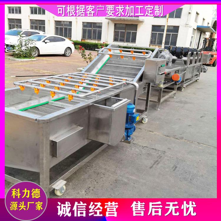 鲜花椒清洗线 全自动蔬菜杀青设备 整套花椒清洗漂烫生产线 牡蛎海鲜去泥清洗机