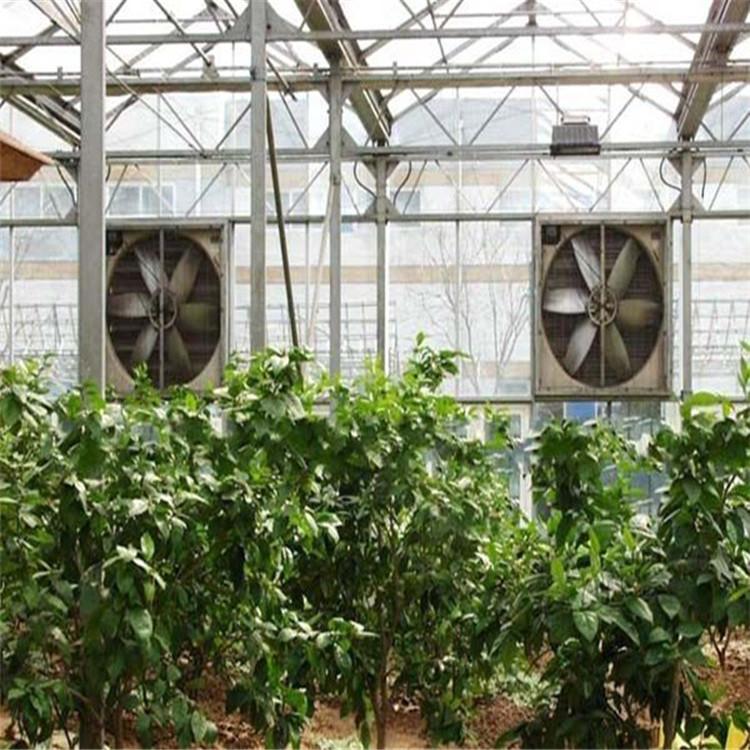 山东工业排风扇直销商 鋆成兴达批发大风量工业排风扇 低噪音 通风降温 纯铜电机 欢迎咨询订购
