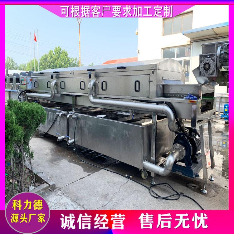 新鲜花椒清洗机 花椒清洗漂烫冷却流水线 多功能高压气泡清洗机 花椒杀青机