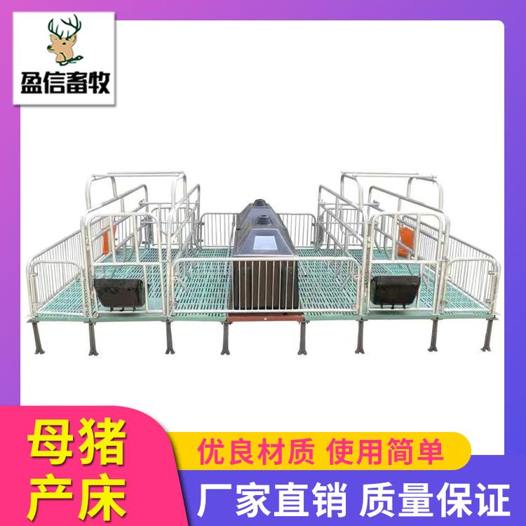 盈信畜牧  厂家直销全复合双体母猪产床