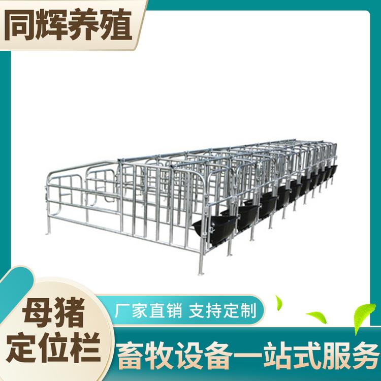 同辉养殖 定位栏