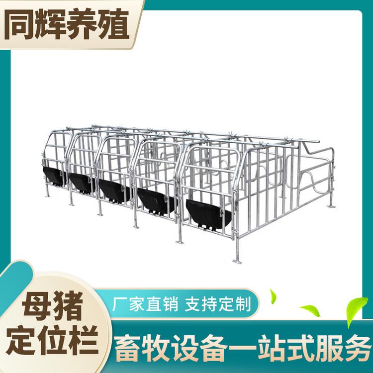 同辉养殖 定位栏 母猪定位栏