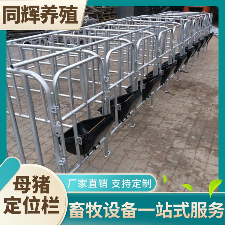 现货供应 母猪落地式产床 母猪落地式分娩栏 母猪定位栏分娩栏限位猪用