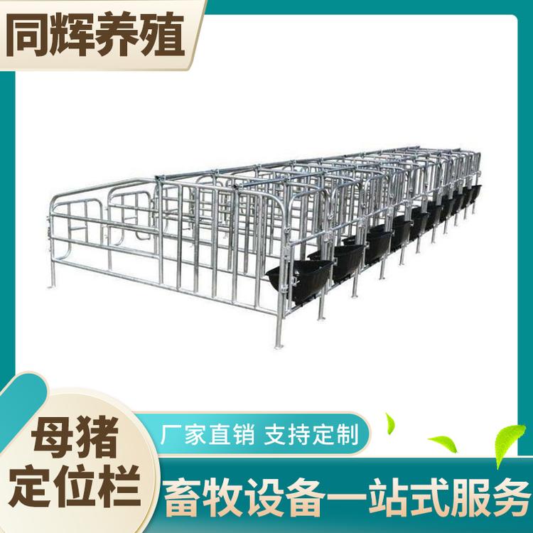 现货供应 养猪场用热镀锌大架母猪落地定位栏限位栏带带钢板食槽子