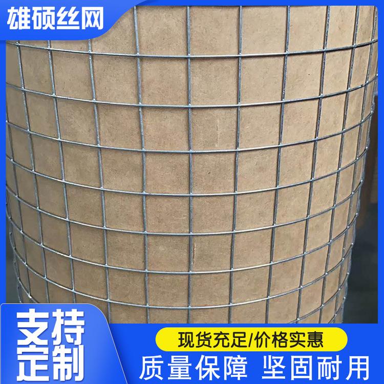 低碳钢丝电焊网 电焊网片 防腐蚀电焊网