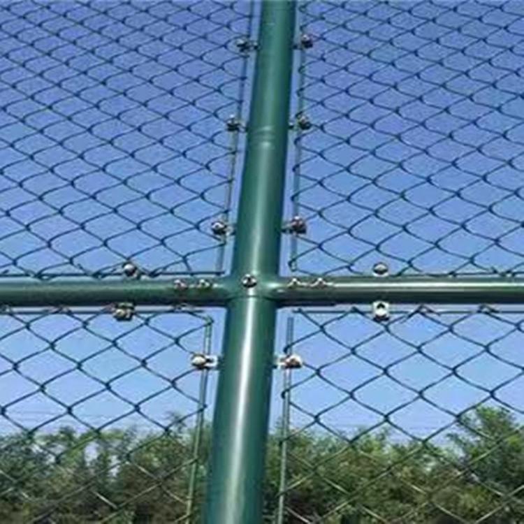 鹏信丝网球场护栏网 室内球场外浸塑喷漆围栏网