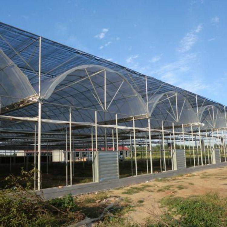 设计安装  花卉温室建设  造价参考