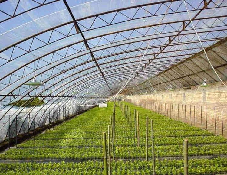 质优价廉温室工程承建-专业设计温室大棚-山水合