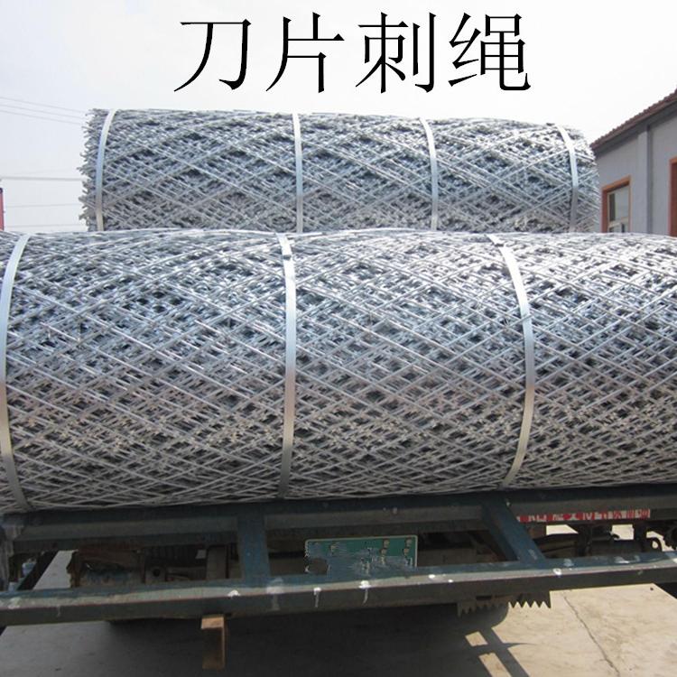 厂家定制生产刀片刺网 刀片刺绳 喷塑刀片刺网