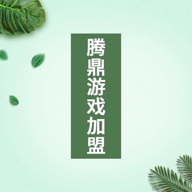 代理手机游戏 零门槛 无需经验 手把手教您