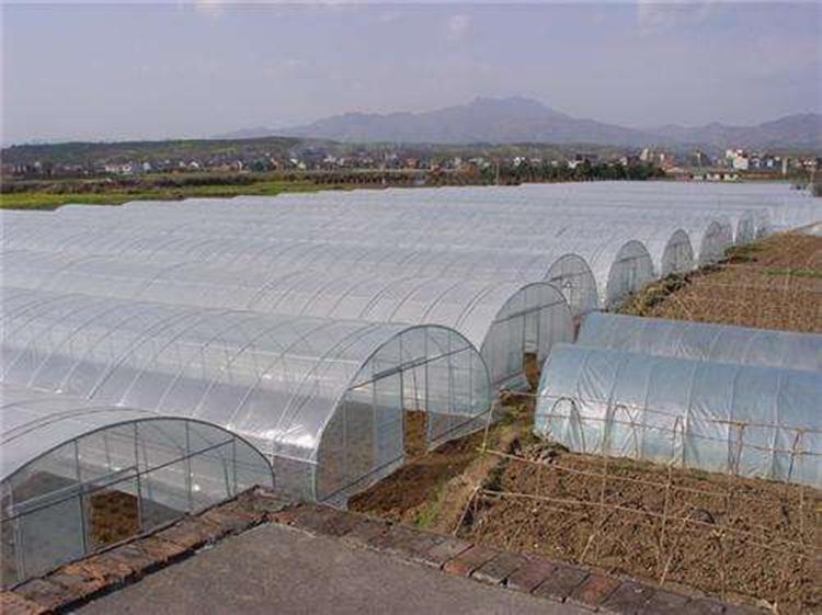订购承建温室工程-温室大棚专业搭建-山水合温室